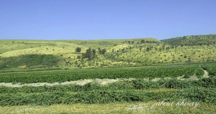 مزارع الدَّرَج/ الدَّرَجة/ قرى المناطق المجردة من السلاح  | موسوعة القرى الفلسطينية