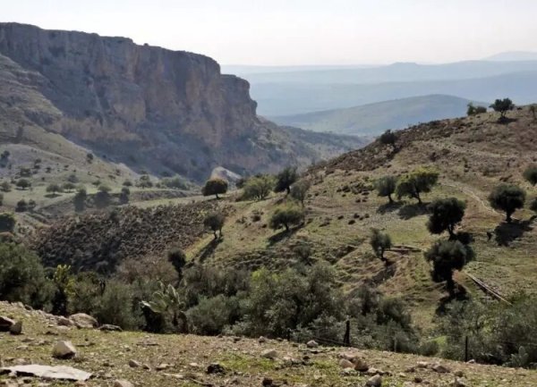  | موسوعة القرى الفلسطينية