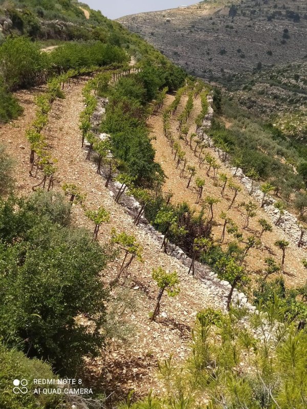  | موسوعة القرى الفلسطينية