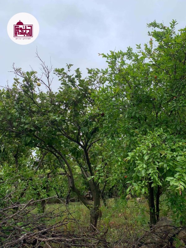  | موسوعة القرى الفلسطينية