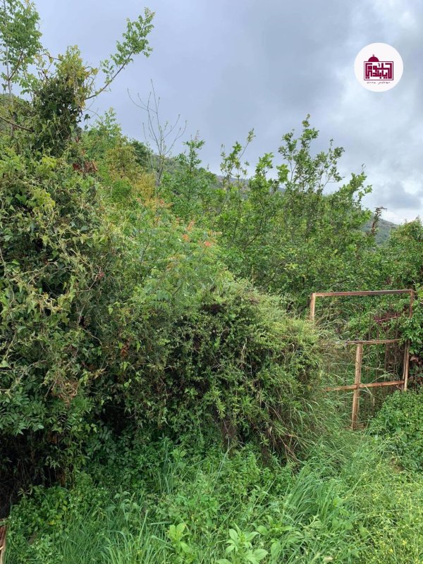  | موسوعة القرى الفلسطينية