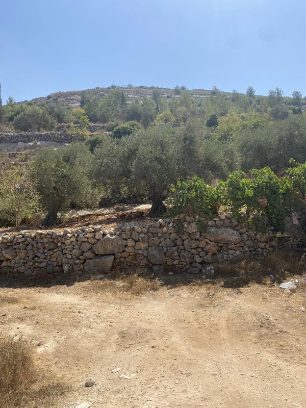  | موسوعة القرى الفلسطينية