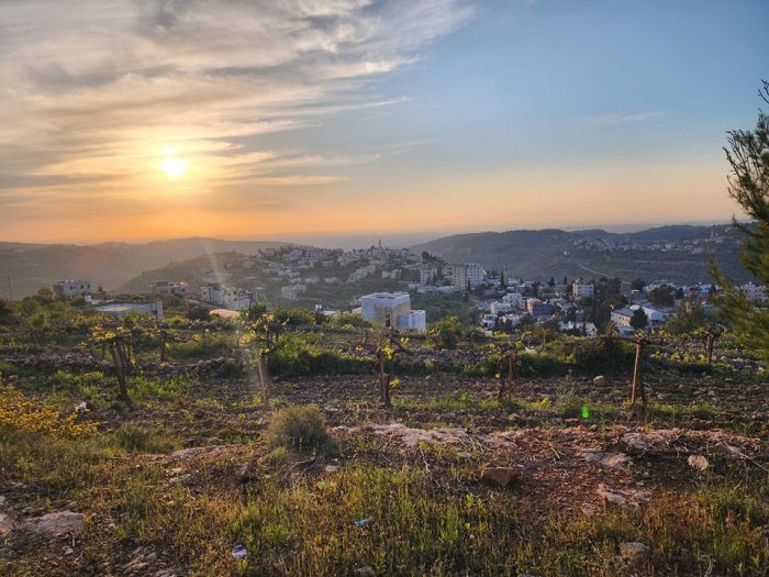 بيت دقو  | موسوعة القرى الفلسطينية