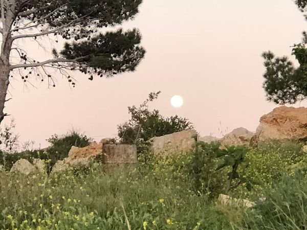  | موسوعة القرى الفلسطينية