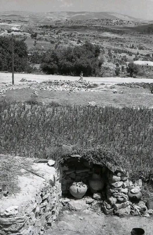  | موسوعة القرى الفلسطينية