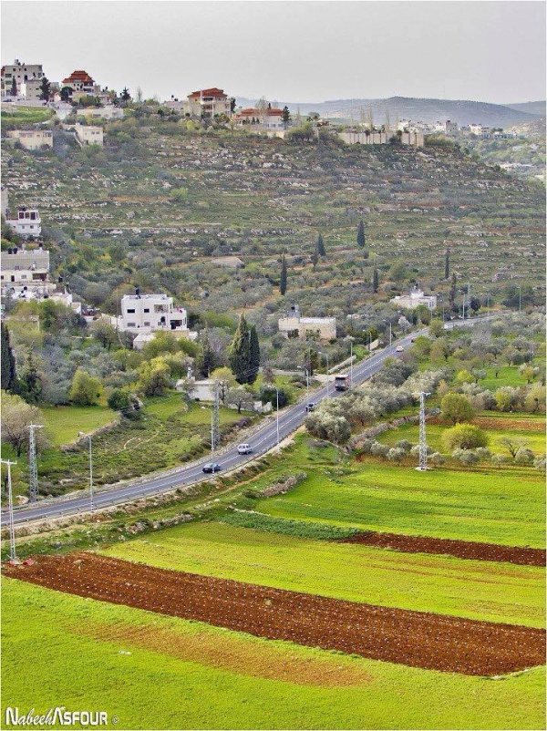  | موسوعة القرى الفلسطينية