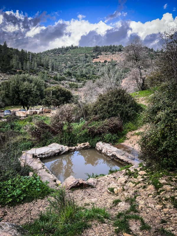  | موسوعة القرى الفلسطينية