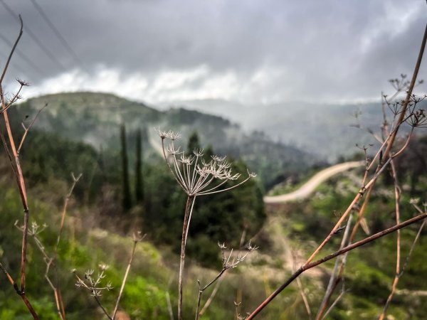  | موسوعة القرى الفلسطينية