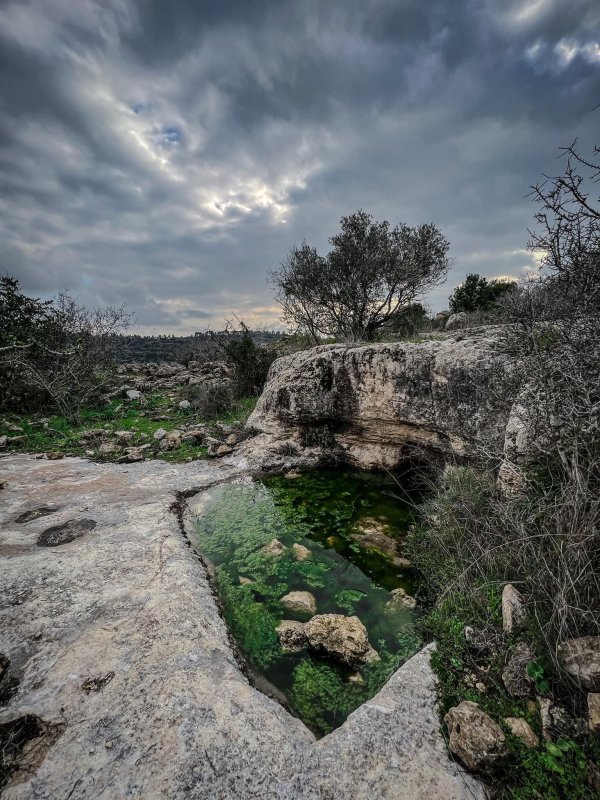  | موسوعة القرى الفلسطينية