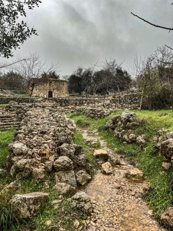  | موسوعة القرى الفلسطينية