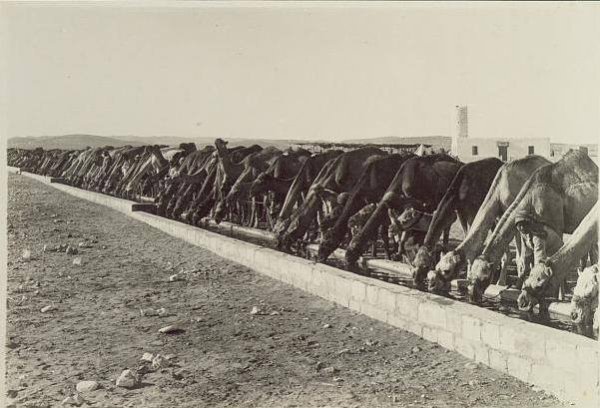  | موسوعة القرى الفلسطينية