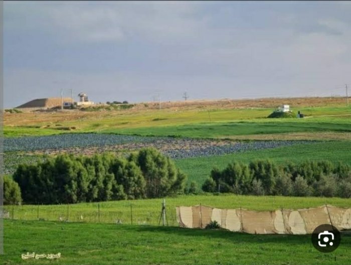 وادِي السَلْقَا- المحافظة الوسطى