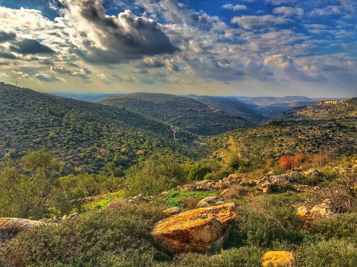 دير إبزيع  | موسوعة القرى الفلسطينية