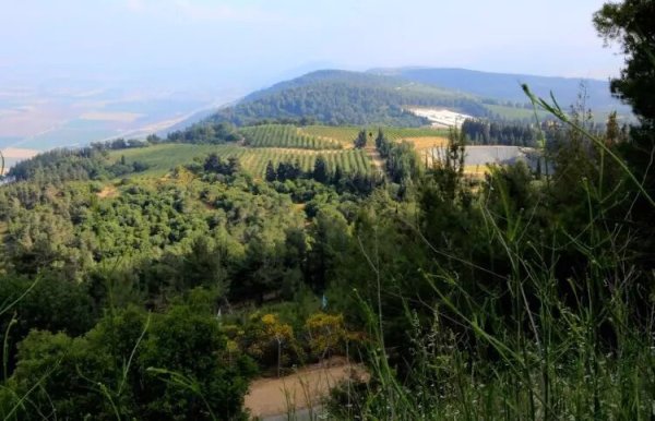  | موسوعة القرى الفلسطينية