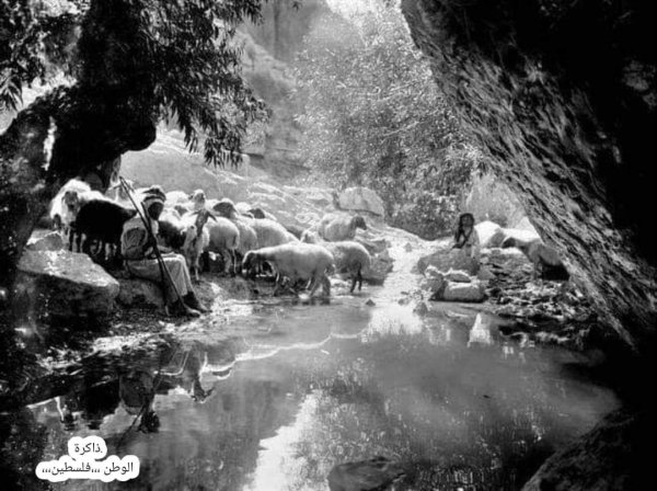  | موسوعة القرى الفلسطينية