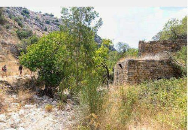  | موسوعة القرى الفلسطينية