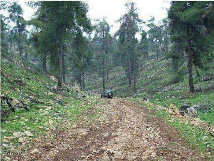 وادي الطَوَاحِينْ  | موسوعة القرى الفلسطينية