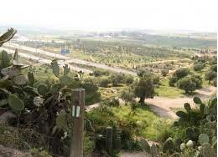 قرية حزوبة  | موسوعة القرى الفلسطينية