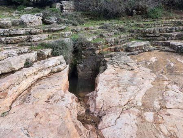  | موسوعة القرى الفلسطينية