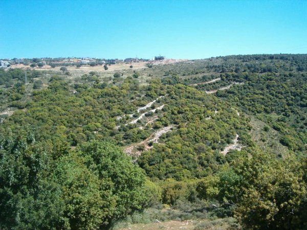  | موسوعة القرى الفلسطينية