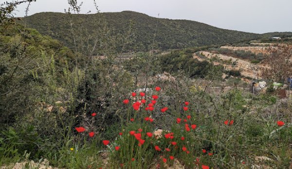  | موسوعة القرى الفلسطينية