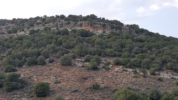  | موسوعة القرى الفلسطينية