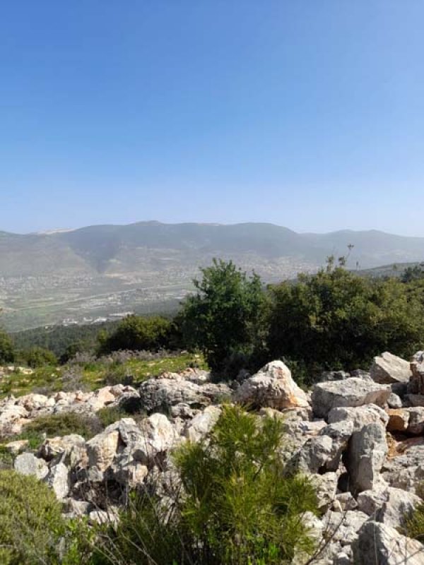  | موسوعة القرى الفلسطينية