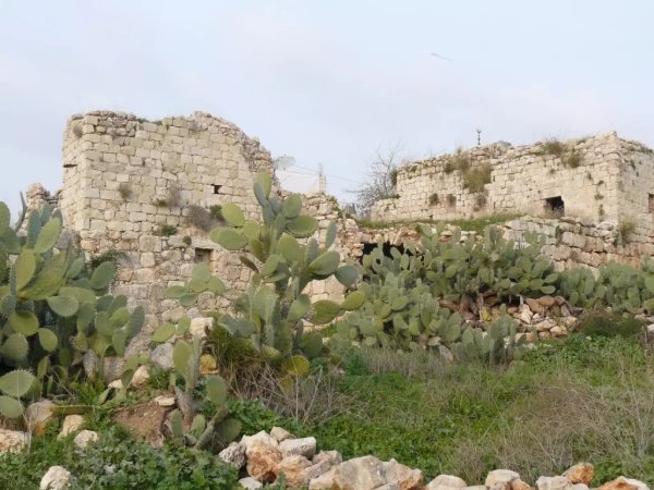  | موسوعة القرى الفلسطينية