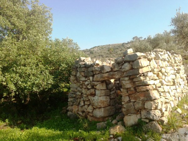  | موسوعة القرى الفلسطينية