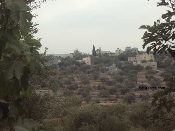  | موسوعة القرى الفلسطينية