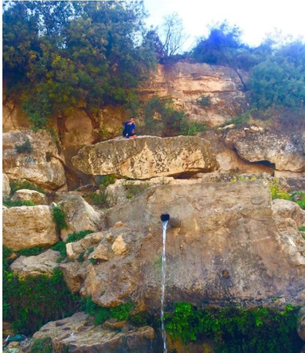  | موسوعة القرى الفلسطينية