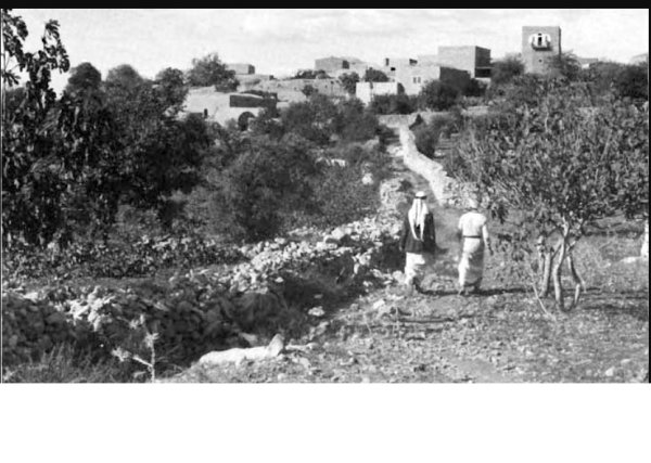  | موسوعة القرى الفلسطينية