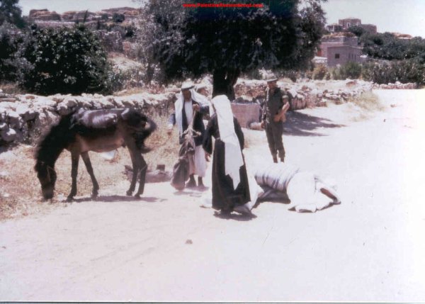  | موسوعة القرى الفلسطينية