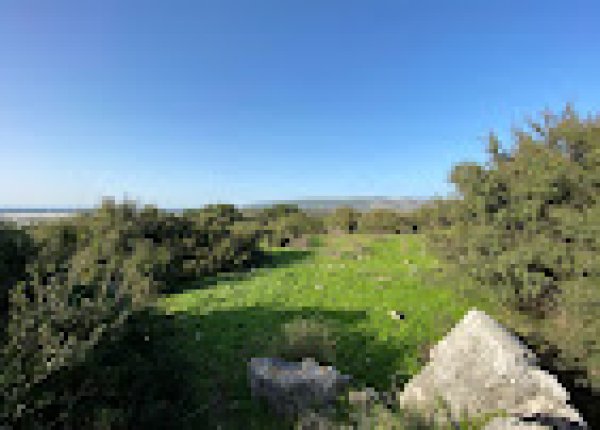  | موسوعة القرى الفلسطينية