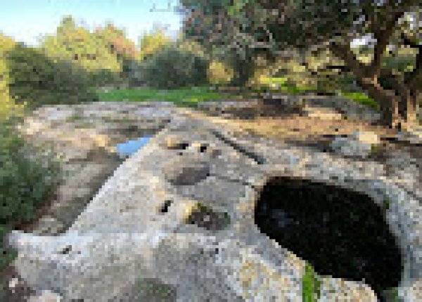  | موسوعة القرى الفلسطينية