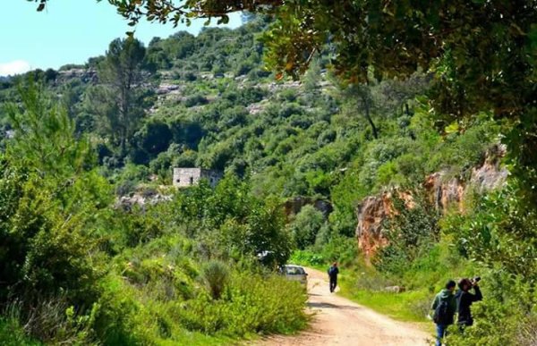  | موسوعة القرى الفلسطينية