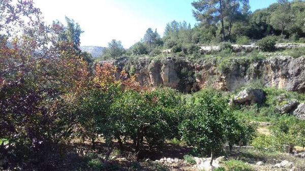  | موسوعة القرى الفلسطينية