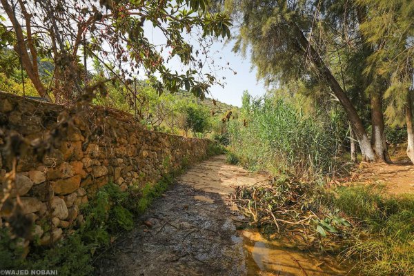  | موسوعة القرى الفلسطينية