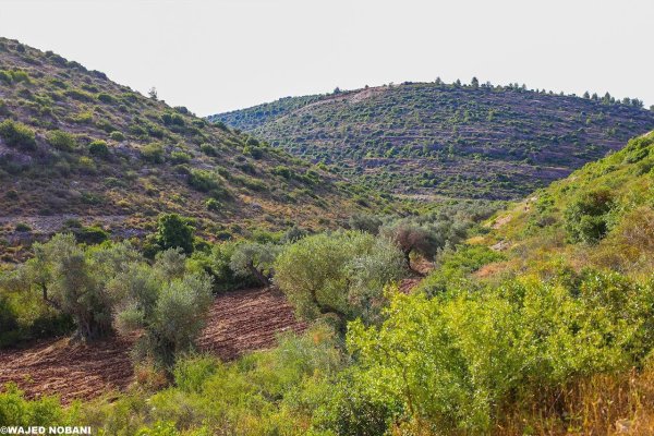  | موسوعة القرى الفلسطينية