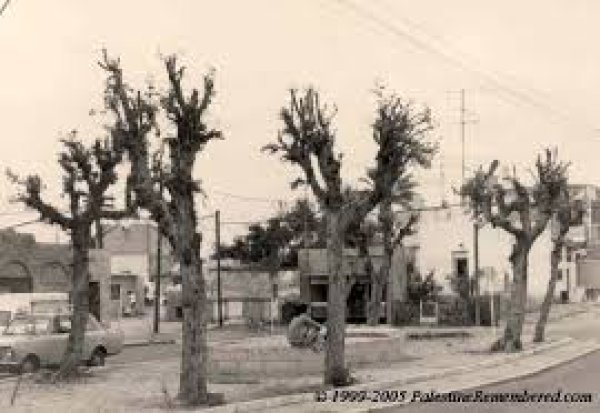  | موسوعة القرى الفلسطينية