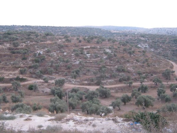  | موسوعة القرى الفلسطينية