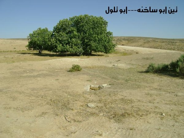  | موسوعة القرى الفلسطينية