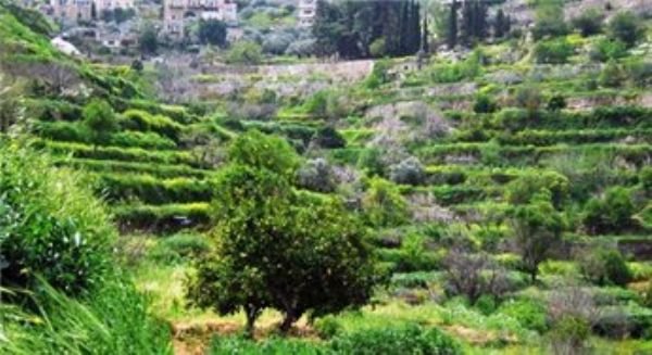  | موسوعة القرى الفلسطينية