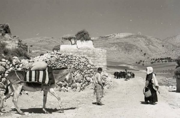  | موسوعة القرى الفلسطينية