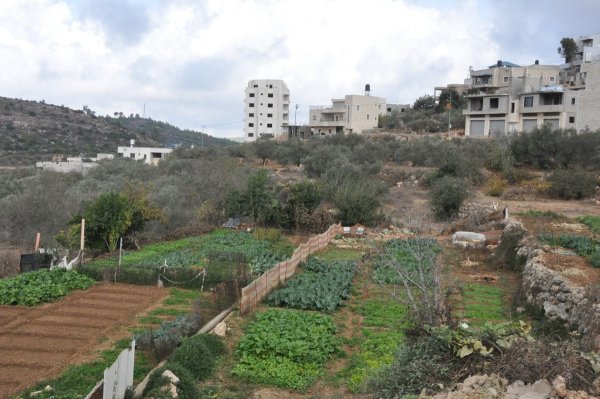  | موسوعة القرى الفلسطينية