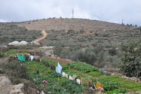  | موسوعة القرى الفلسطينية