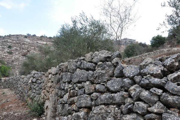  | موسوعة القرى الفلسطينية