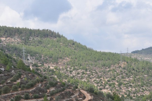  | موسوعة القرى الفلسطينية