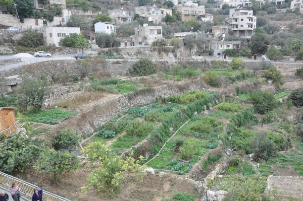  | موسوعة القرى الفلسطينية