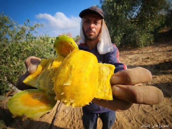  | موسوعة القرى الفلسطينية